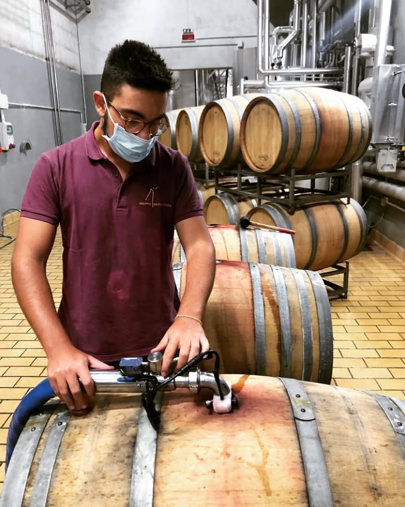 La cantina con le barrique, alimentata dall’energia del sole.