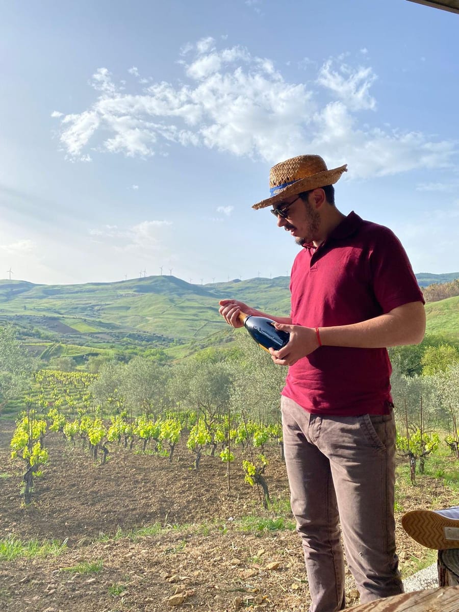 Francesco Loi tra gli alberelli della sua vigna, con le colline delle Madonie sullo sfondo.